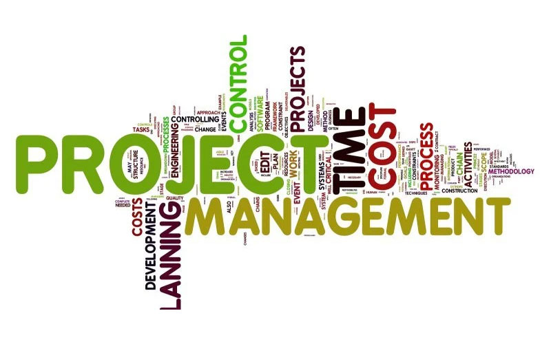 دوره کارشناس حرفه ای کنترل و مدیریت پروژه: استراتژیها و فنون اثربخش برای رهبری و مدیریت پروژههای بزرگ 2 مدیریت پروژه